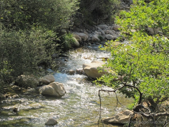 Neda River