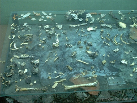Tropfsteinhöhlen von Pirgos Dirou (Museum)