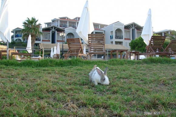 Hotel The Bay, Zakynthos, Greece